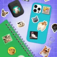 Книжное комплектное издание "Мемный набор" + вложение (ролик, 3д стикеры, значки, брелок)