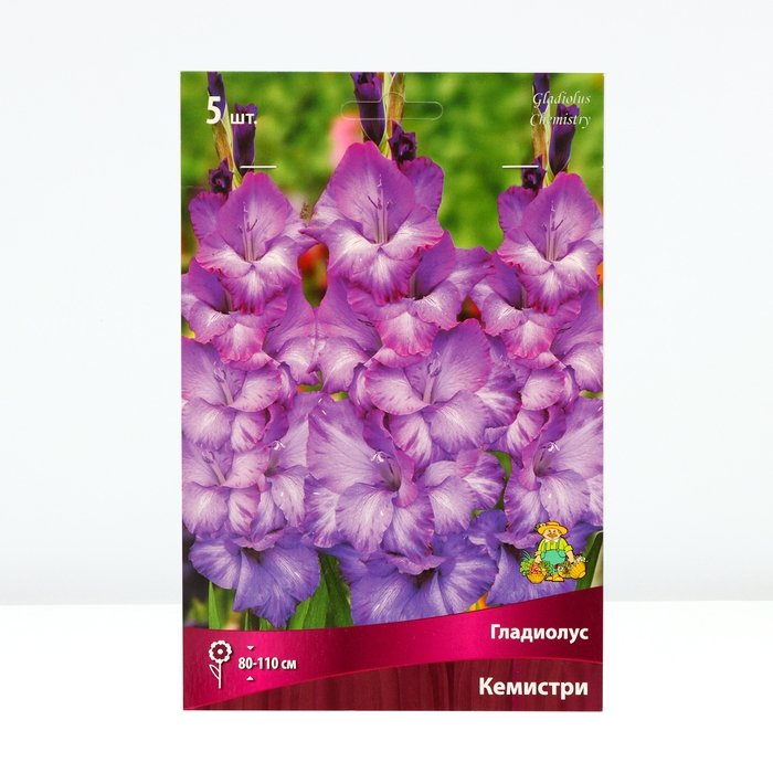 Гладиолус крупноцветковый &laquo;Кемистри&raquo;, луковица цветов в пакете с перфорацией, р-р 12/14, 5 шт.