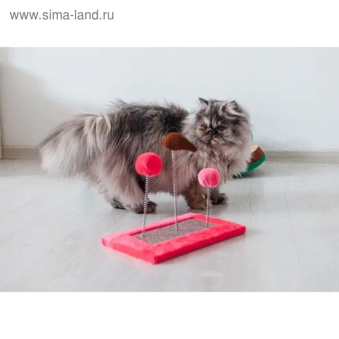 Игрушка для кошек с 3 дразнилками и когтеточкой, 27 х 15,5 х 25 см  микс цветов
