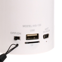 Портативная колонка WS-133, 3 Вт, microSD, FM, USB, белая Портативная колонка WS-133, 3 Вт, microSD, FM, USB, белая