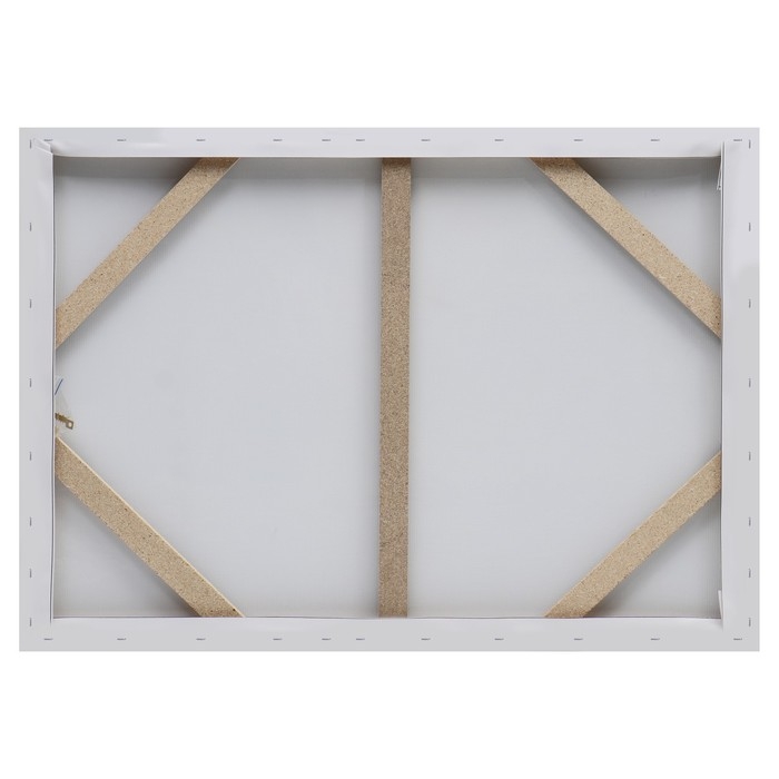 Картина-холст на подрамнике "В ярости"  50х70 см