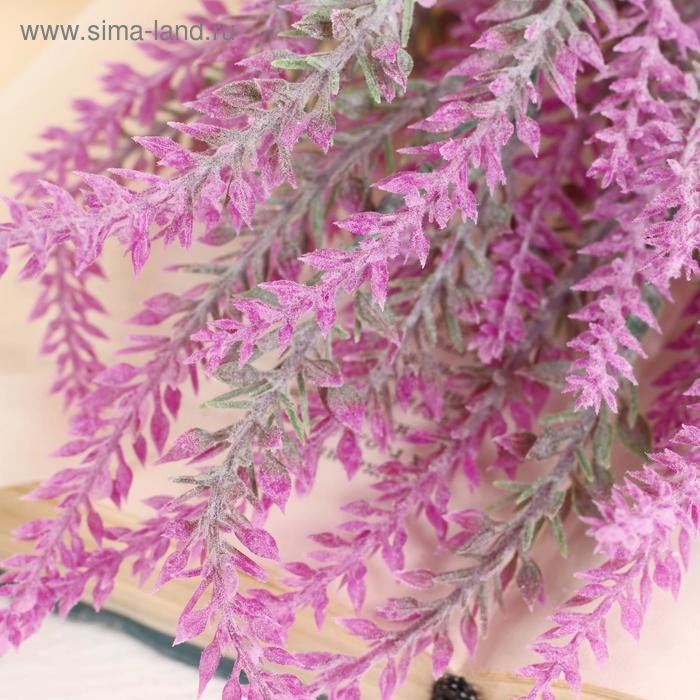 Букет Букет "Лаванда" 30 см, микс