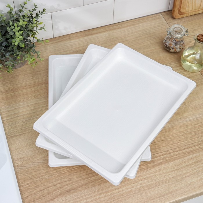 Набор подносов для заморозки пельменей, 36×25×3 см, 3 шт, цвет МИКС Набор подносов для заморозки пельменей, 36×25×3 см, 3 шт, цвет МИКС