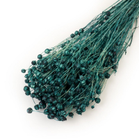 Сухоцвет &laquo;Абрус&raquo; набор 24 шт, цвет голубой