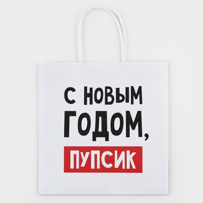 Пакет подарочный новогодний &laquo;С Новым годом, пупсик&raquo;, 22 х 22 х 11 см , Новый год