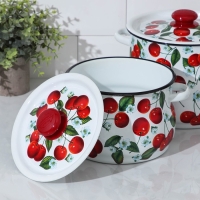 Набор кастрюль &laquo;Сочная вишня&raquo;, 2 предмета: 4.5 л, 5 л, эмалированные крышки, цвет белый