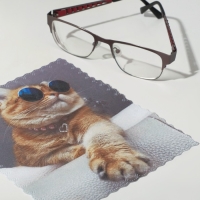 Салфетка для очков TAO9 &laquo;Кот в очках&raquo; 15&times;18 см, цвет бежевый