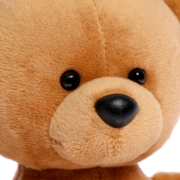 Мягкая игрушка &laquo;Медведь Топтыжкин&raquo;, цвет коричневый, 17 см