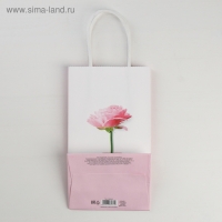 Пакет подарочный крафт, упаковка, &laquo;Be happy&raquo;, 12 х 21 х 9 см