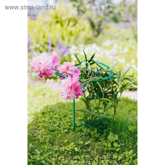 Кустодержатель для цветов, d = 40 см, h = 80 см, ножка d = 1 см, металл, зелёный Кустодержатель для цветов, d = 40 см, h = 80 см, ножка d = 1 см, металл, зелёный
