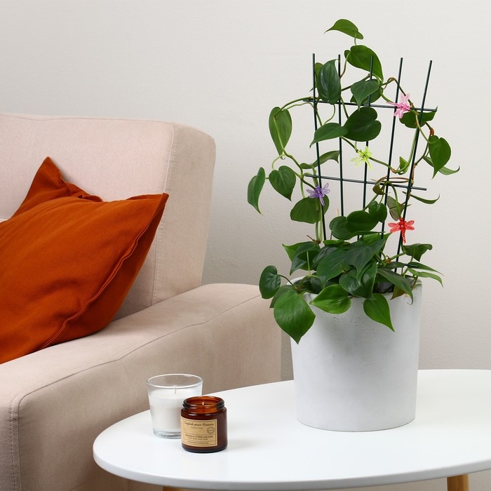 Клипса для растений &laquo;Стрекоза&raquo;, набор 10 шт., МИКС, Greengo