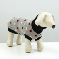 Свитер, размер 16 (ДС 45-60, ОШ 20-37, ОГ 37-52 см), микс расцветок Свитер, размер 16 (ДС 45-60, ОШ 20-37, ОГ 37-52 см), микс расцветок