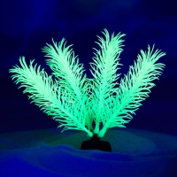 Растение искусственное аквариумное, светящееся, 10 см, зелёное Растение искусственное аквариумное, светящееся, 10 см, зелёное