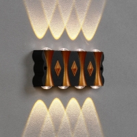 Светильник фасадный &laquo;Глосс&raquo;, FSD-044, 8 Вт, 3000К, 4 луча, IP65, 220 В, пластик, черный