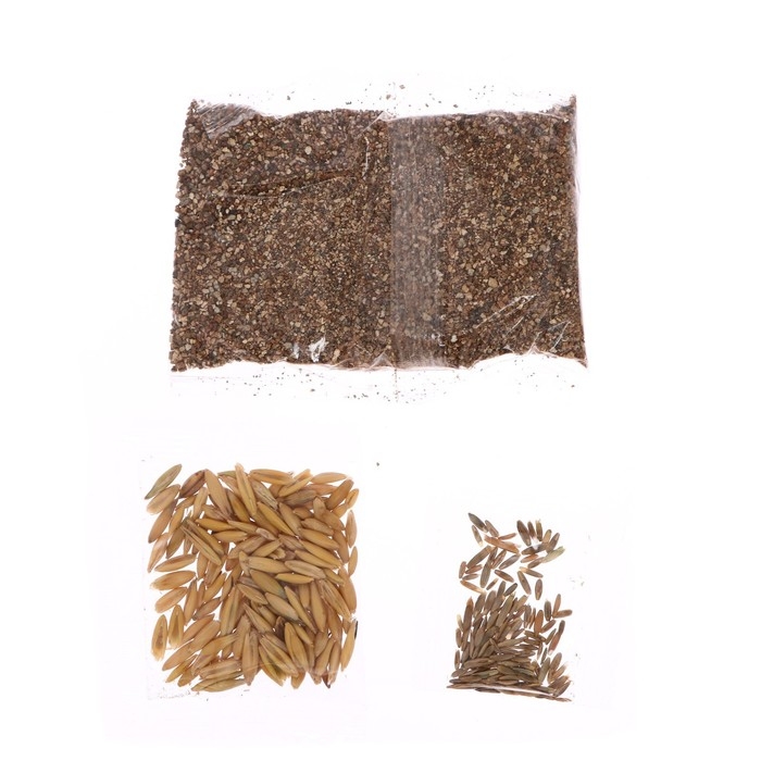 Набор для опытов &laquo;Мой мини-сад: Пони&raquo;, вырасти травку