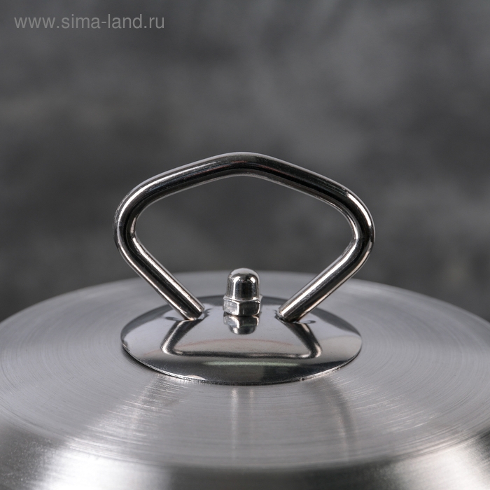 Набор кастрюль из нержавеющей стали &laquo;Тиссен&raquo;, 5 предметов: 1,8 л, 2,5 л, 3,5 л, 4,5 л, 6 л, d=18/20/22/24/26 см, металлические крышки