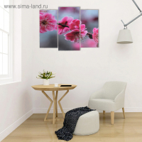 Модульная картина "Цветы сакуры"  (2-25х52; 1-30х60) 60х80 см