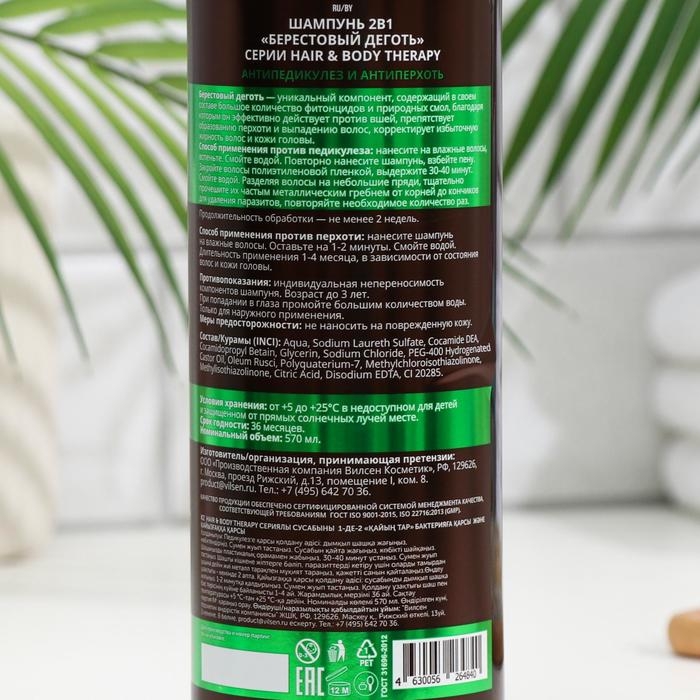 Шампунь 2в1 &laquo;Берестовый деготь&raquo; антипедикулез антиперхоть серии "Hair and Body Therapy", 570 мл