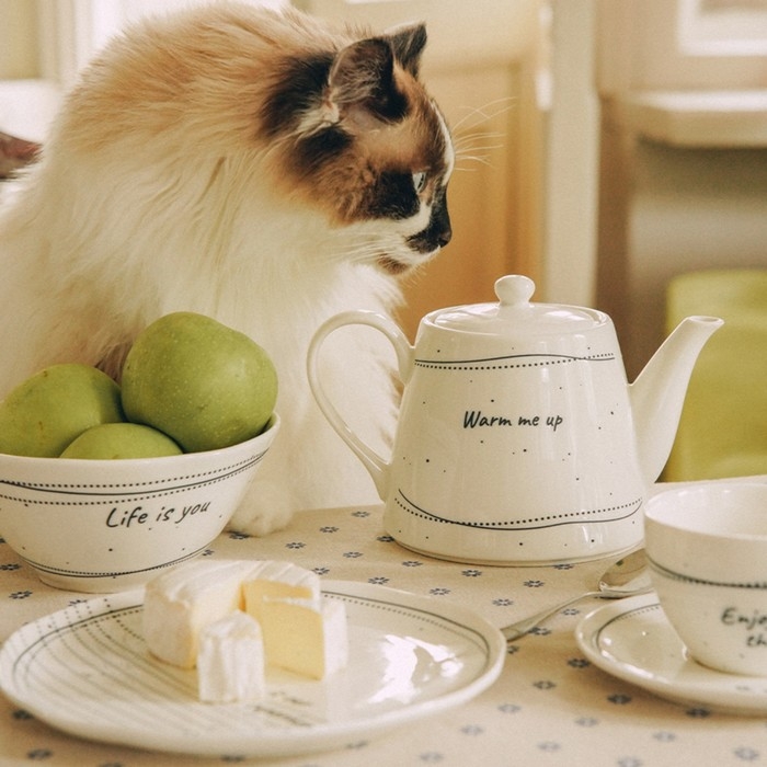 Чайник заварочный фарфоровый SL Home &laquo;Милый дом&raquo;, 900 мл, 21&times;13,8&times;13,5 см, цвет белый