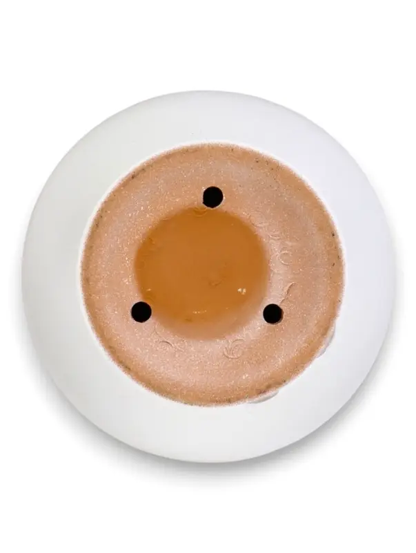 Горшок цветочный с поддоном 5 л, d122/h19,5 см капучино керамика, "Туман" (М)