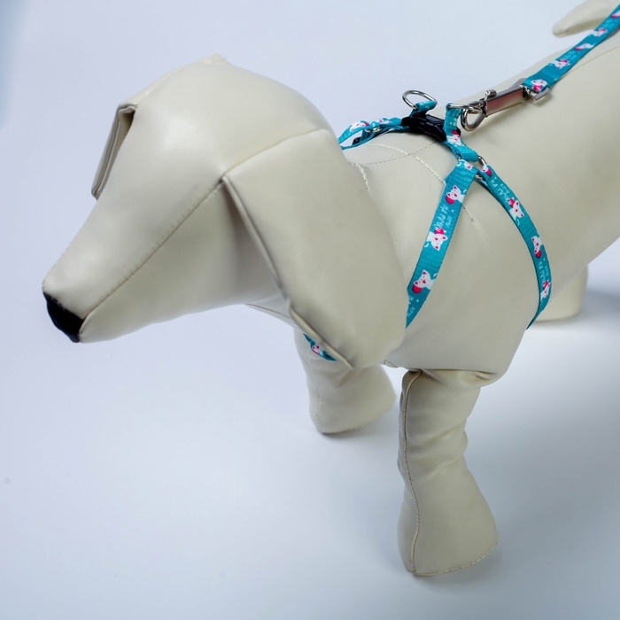 Комплект &laquo;Хочу на ручки&raquo;, шлейка 24-34х1 см, поводок 120 см