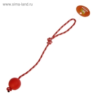 Игрушка "Шарик на веревке", 5,5 см, каучук, микс цветов Игрушка "Шарик на веревке", 5,5 см, каучук, микс цветов