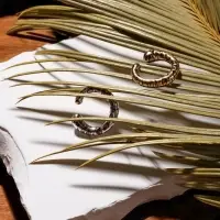 Серьги каффы &laquo;Леопард&raquo; набор 2 шт, цветные