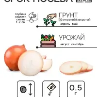 Семена Лук репчатый "Халцедон", 0,5 г