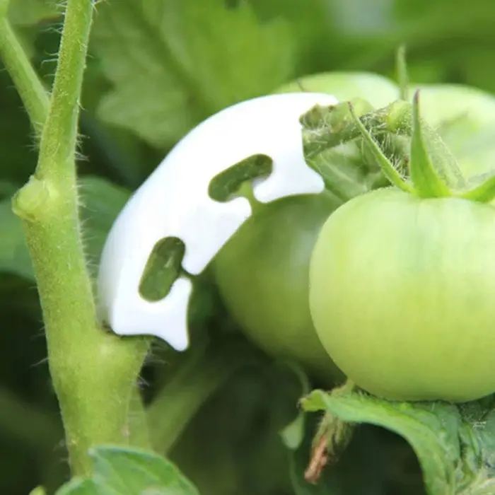 Кистедержатель &laquo;Улитка&raquo;, 3.5 см, набор 50 шт., Greengo