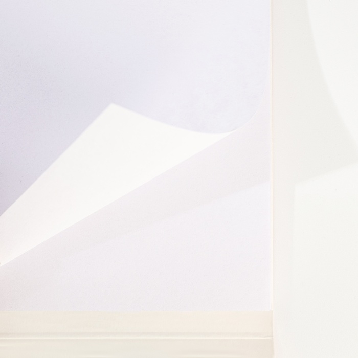 Набор: блокнот А5, 60 л. и ручка &laquo;23 февраля: Сильному духом&raquo;