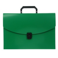 Папка-портфель А4 Calligrata, 13 отделений, 700 мкм, до 300 листов, зелёная Папка-портфель А4 Calligrata, 13 отделений, 700 мкм, до 300 листов, зелёная