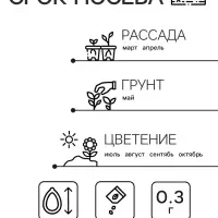 Семена  цветов Гелихризум "Зимний букет", смесь окрасок, О, 0,3 г