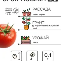 Семена Томат "Челнок", 0,1 г