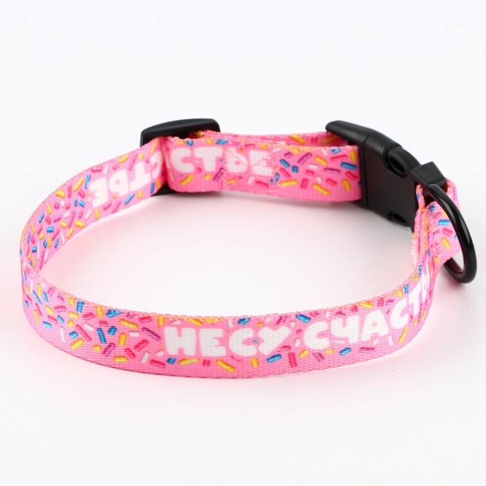 Ошейник &laquo;Несу счастье&raquo;, застёжка - фастекс, 2 см 25-40 см