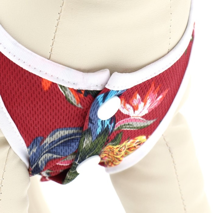 Платье для животных "Тропики&raquo;, XS (ДС 20, ОГ 30 см), красное