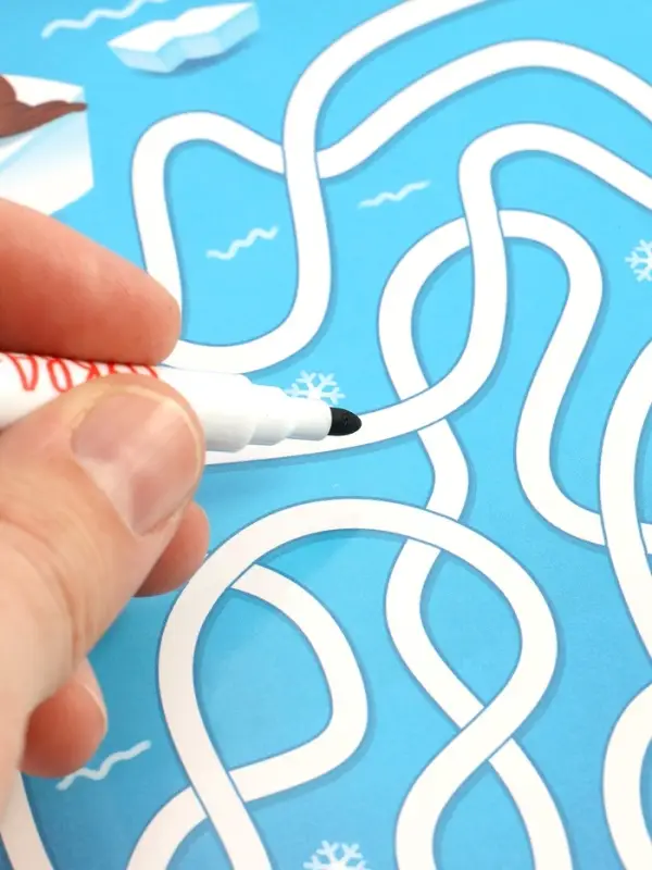 Книга "Многоразовые лабиринты", с маркером