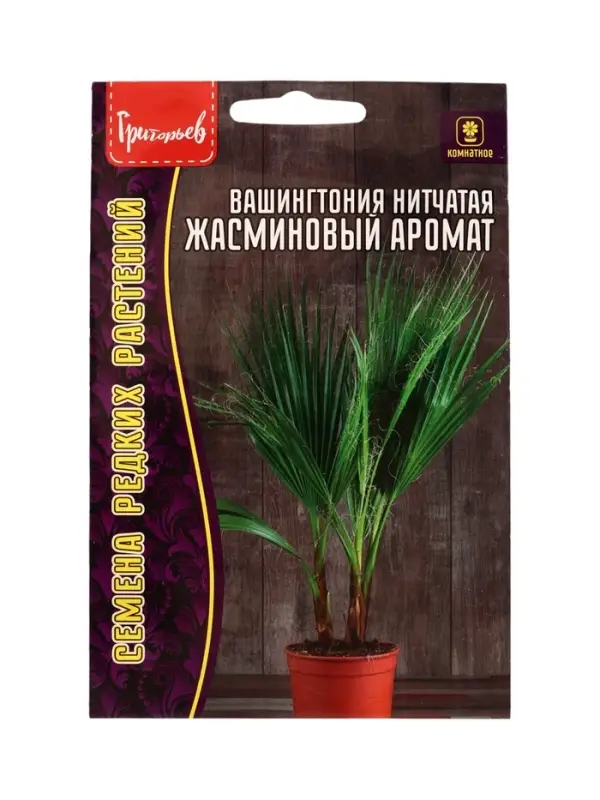 Семена цветов Вашингтония Жасминовый Аромат нитчатая  5шт. 12.29 г.