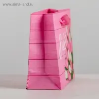 Пакет подарочный ламинированный горизонтальный, упаковка, &laquo;Женский день&raquo;, S 15 х 12 х 5,5 см