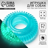 Игрушка для собак жевательная светящаяся в темноте &laquo;Шина&raquo;, 7 х 7 см