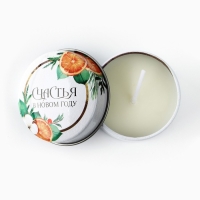 Свеча новогодняя в железной банке &laquo;Новый год: Счастья&laquo;Новый год: аромат апельсин, 4.8 см