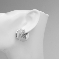 Серьги металл &laquo;Аккорд&raquo; круг вогнутый, цвет серебро