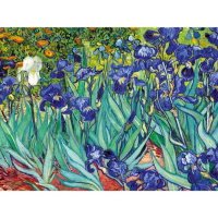 Алмазная мозаика с полным заполнением на холсте &laquo;Ирисы&raquo;, 30 х 40 см