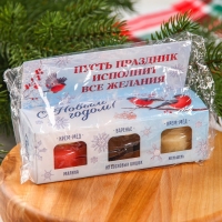 Набор &laquo;Счастливый новый год&raquo;: 2 крем-меда и варенье с шишками по 30 г.