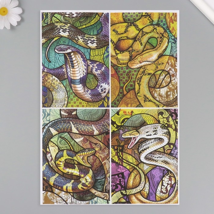Набор декупажных карт 6 шт &laquo;Девушки и змеи&raquo;, плотность 45 гр/м2, формат А4