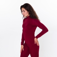 Термобельё женское (джемпер, леггинсы), цвет бордовый, размер 56 (2XL) Термобельё женское (джемпер, леггинсы), цвет бордовый, размер 56 (2XL)