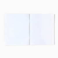 Набор тетрадей 48 листов, в клетку, А5, Гравити Фолз