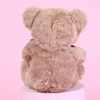 Мягкая игрушка «Ты лучше всех», медведь, цвета МИКС Мягкая игрушка «Ты лучше всех», медведь, цвета МИКС