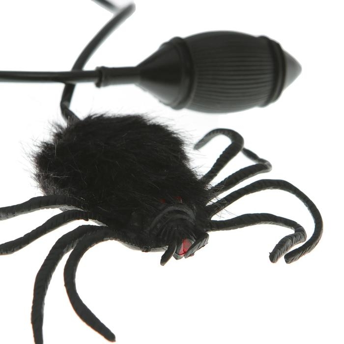 Прикол &laquo;Прыгающий паук&raquo;