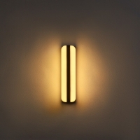 Светильник фасадный &laquo;Эллипс&raquo;, FSD-029, 24 Вт, 3000K, IP65, 220 В, пластик, черный