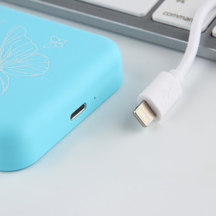 Зарядное устройство &laquo;Бабочки&raquo;, 5000мА